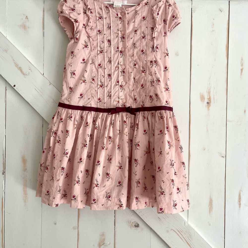 Janie and Jack Pink Floral Dress with Burgundy Accents